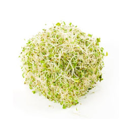 Premium Alfalfa-125g Punnets