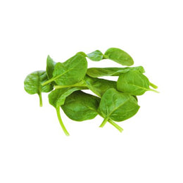 Baby Spinach - 1.5kg