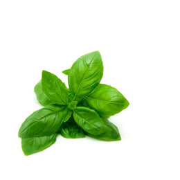 Basil - Bunch