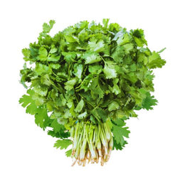 Coriander - Bunch