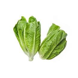 Lettuce Cos Heart- Lettuce Whole Cos Large Box