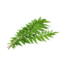 Curry Leaves - Bunch