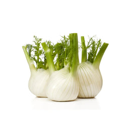 Fresh Fennel Delivered Straight to You - DeliverFresh Melbourne