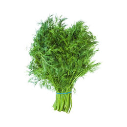 Dill - Bunch