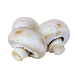 Mushroom Field 4Kg - Box