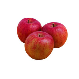 Premium Fuji Apples-12kg Box