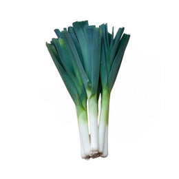 Leek - 30Pcs - Box