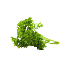 Parsley - Bunch