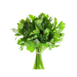 Parsley Continental - Bunch