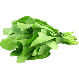 Spinach - Bunch