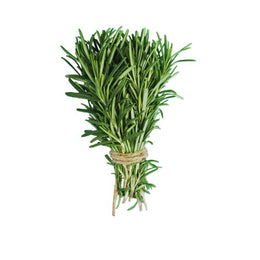 Rosemary - Bunch