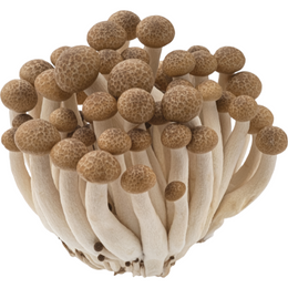 Mushroom Shemiji - Punnet