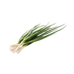 Spring Onion - Bunch