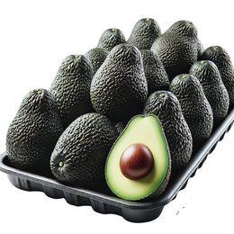 Avocado Hass - Tray