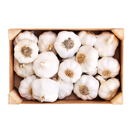 Garlic 10Kg - Box