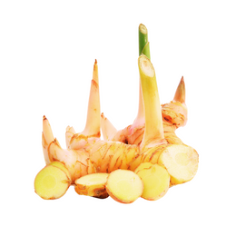 Galangal - Kg