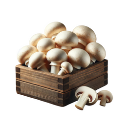 Mushroom Portobello 3Kg - Box