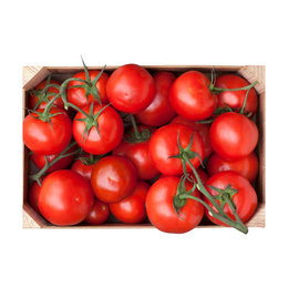 Tomato Gourmet 10kg - Box