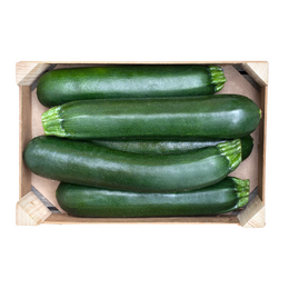 Zucchini - Box