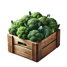 Broccoli 8Kg - Box