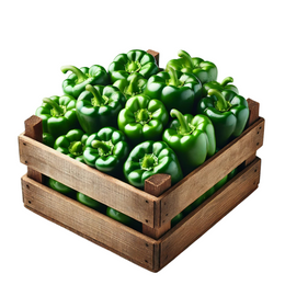 Capsicum Green / Chilli Green Peppers 8Kg - Box