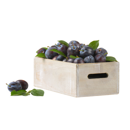 Plum 5Kg - Box