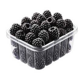 Blackberry - Punnet