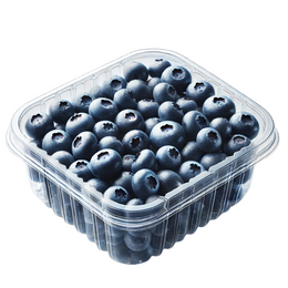 Blueberry - Punnet