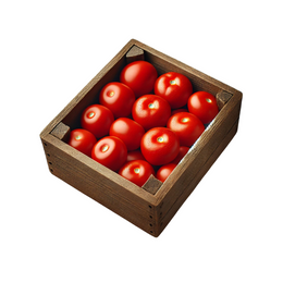 Salad Tomato - Box