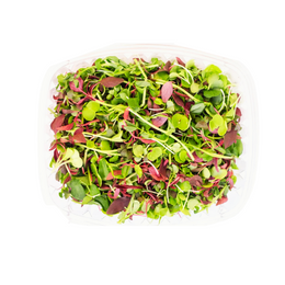 Micro Herbs - Punnet