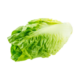 Lettuce Twin Cos - 2 Pcs - Packet