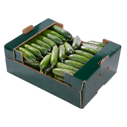 Cucumber Continental 15Pcs - Box