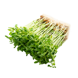 Pea shoots - Kg