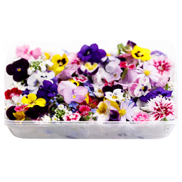 Edible Flowers - Punnet