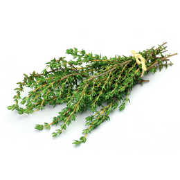 Thyme - Bunch