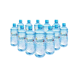 12 x Wild Spring Water 600ml - PET