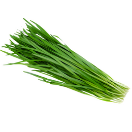 Chives - Bunch