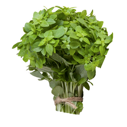 Basil - Bunch