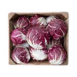 Radicchio 5Kg - Box