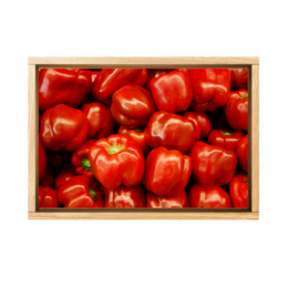 Capsicum Red 10Kg - Box