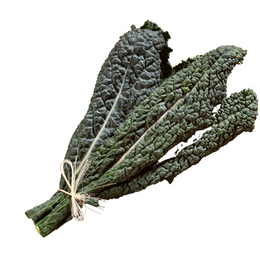 Kale Tuscan - Bunch