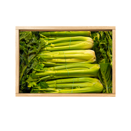 Celery 10 Bunch - Box