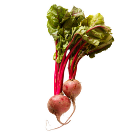 Beetroot Red - Bunch