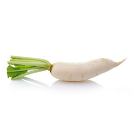 Daikon - Bunch