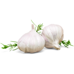 Garlic - Kg