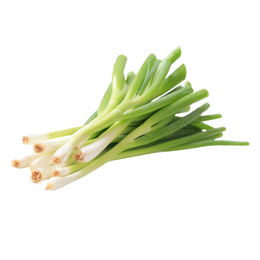 Spring Onion - Bunch