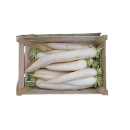 Radish White 20 Kg - Bag