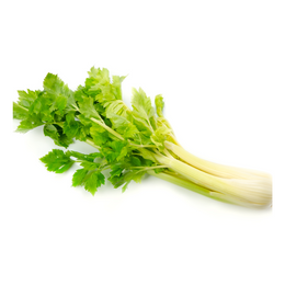 Celery - Bunch