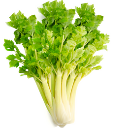 Celery - Bunch