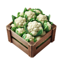 Cauliflower 10Pcs - Box